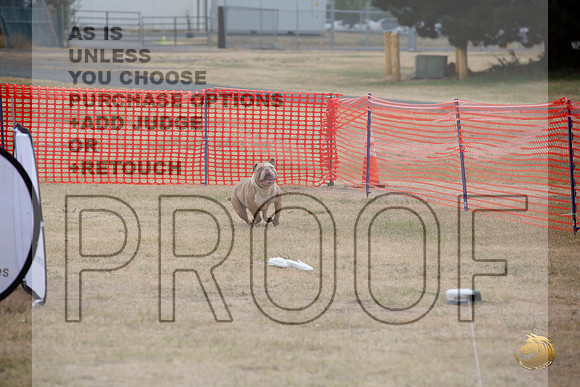 Precision Coursing Longview WA 2024 _JJL_3390_Longview WA_2024_HR3