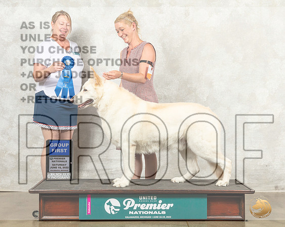 White Shepherd #1167 G1 Judge Pamela Perdue__MJ_8608_Premier_2022_HR3