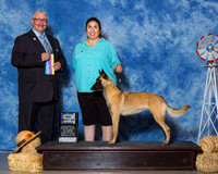 Malinois #14 Sat BOB Maj Duke Michele Judge Mr Bill R W Edwards