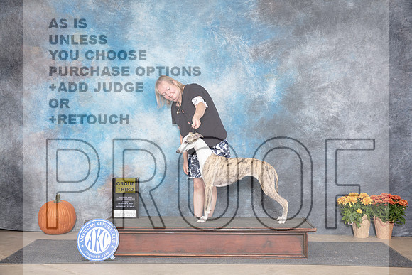 Whippet #10 OHG3 Fri Judge Doug Broadfoot__JP_8282_Humble_2024_HR3