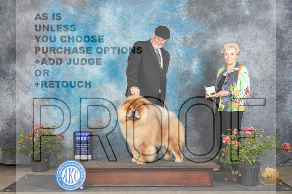Chow Chow #5 Sun G1 Judge Polly (Mrs Robert) D Smith__JP_6368_San Antonio_2024_HR3