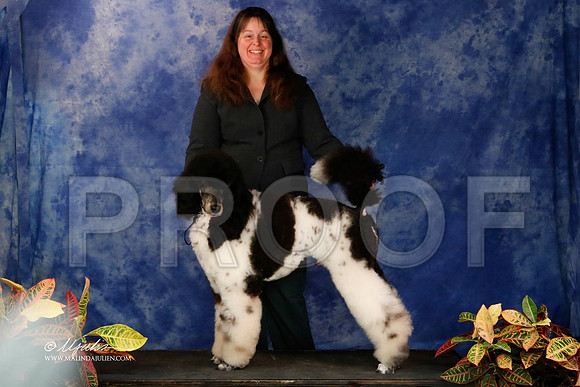 PdMC-9011-NormNov2013-HR