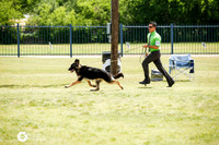 Best in Futurity Fri Ring