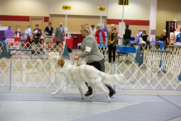 _JJ_3765-AmarilloSept2014-HR3