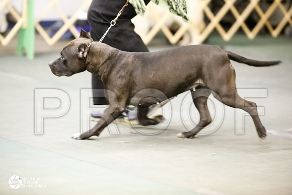 APBT-0757-DntnMar14-HR3