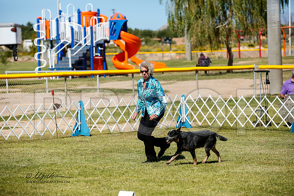 _JJ_3819-AlamogordoOct2014-HR3
