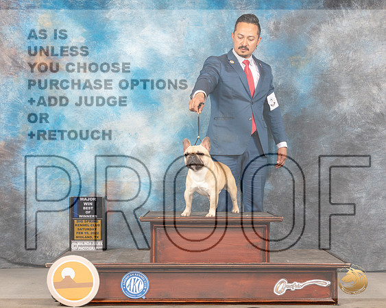 French Bulldog #11 Sat BOWWD Judge Gary AndersenMMJ_4097_Mdlnd2022_HR3
