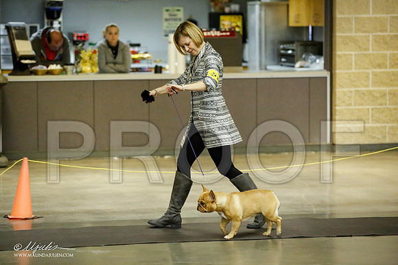 _JJ_5574-BeltonJan2015IABCA-HR3