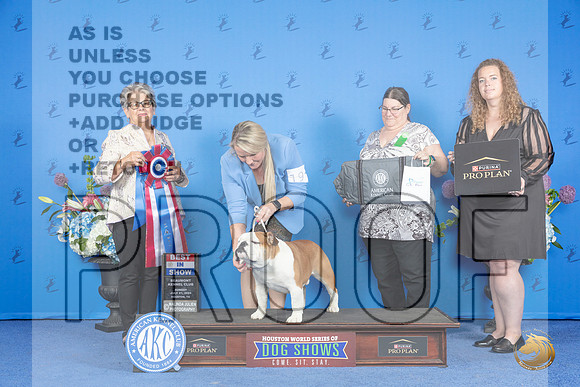 Bulldog #19 SUN BIS Judge Sandra Lex__JP_0958_Houston_2024_HR3