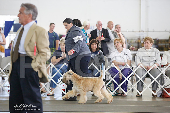 _JJ_1016-DallasJul2014-HR3