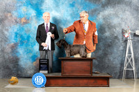 Cesky #5 Sun G4 Judge Fred Bassett