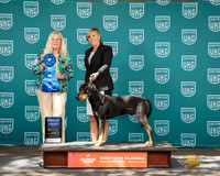 Cindy Sanders UKC Longview WA 2024