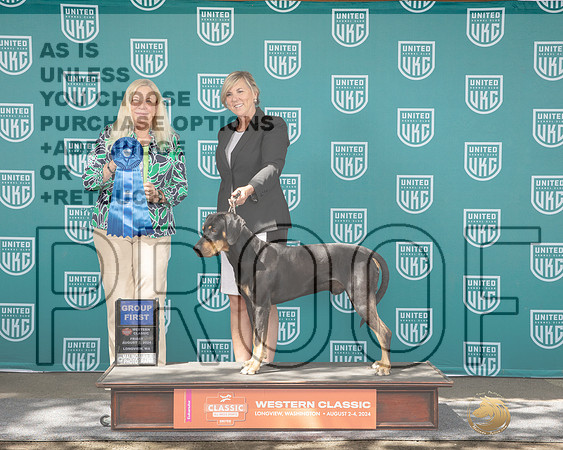 Catahoula #286 Fri G1 Judge Kathrine Short_JP_1185e_UKCLongviewWA_2024-HR3