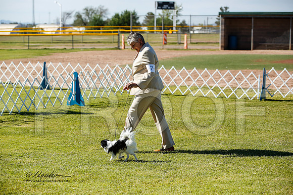 _JN_0496-AlamogordoOct2014-HR3