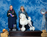 Poodles Standard #7 Fri NC WD Maj Martin Christie Judge Mrs Carolyn A Herbel
