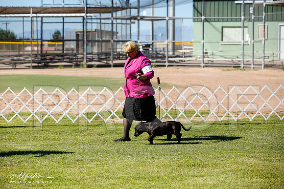 _JN_4367-AlamogordoOct2014-HR3