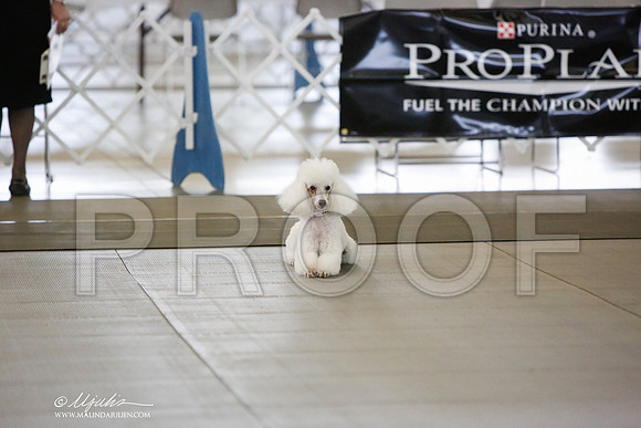 _JN_8005-DallasJul2014-HR3