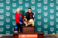 Tibetan Spaniel #222 Fri G1 Judge Kathryn Baxter