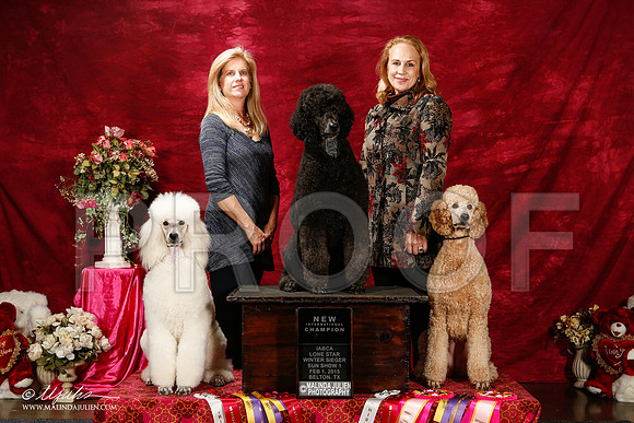 _ST_2746-2-BeltonJan2015IABCA-HR3