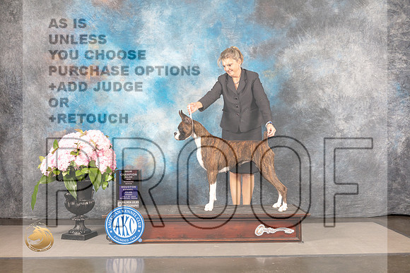 Boxer #? FRI BW NCH Major Judge Karen McFarlane *R*_MJ_8227_Houston_2022_HR3