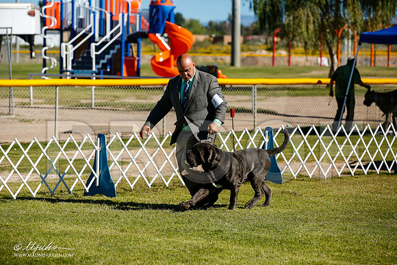 _JJ_9522-AlamogordoOct2014-HR3