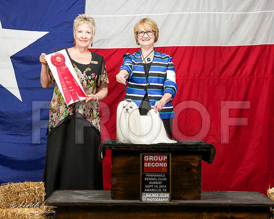 _ST_2042-AmarilloSep2014-HR3