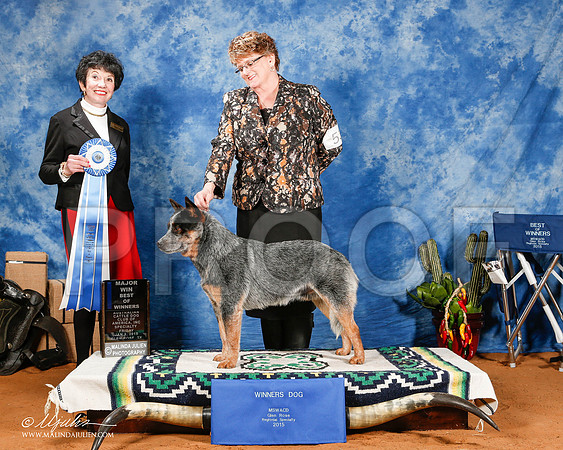 _ST_0733-2-GlenRoseJan2015-HR3