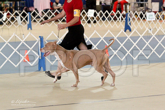 APBT-2959LR