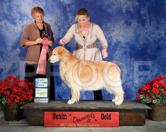 vet12+-7635-WFOct2013-HR