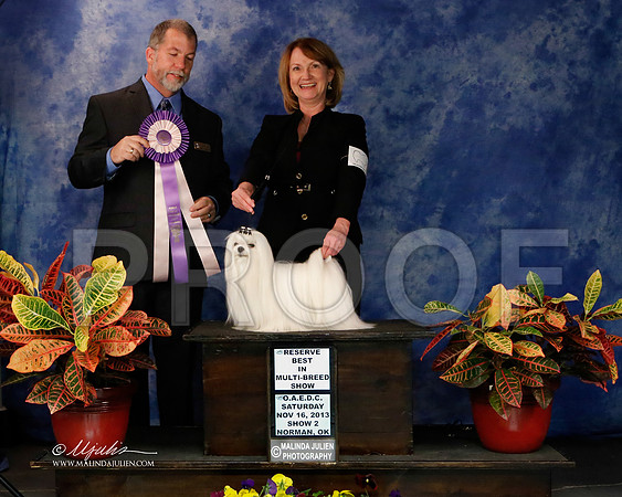 _J2_8971-NormNov2013-HR