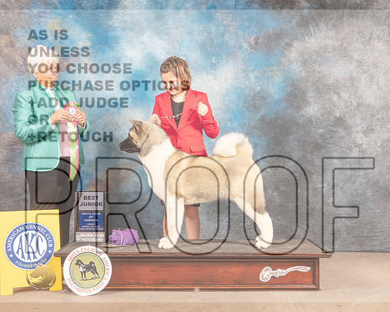 Akita #J7 Fri BJr Judge Gloria Kerr-MMJ_7332-FW2022-HR3