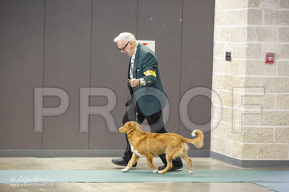 _LH_3092-BeltonJan2015-HR3