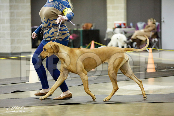 _RH_1418-BeltonJan2015IABCA-HR3