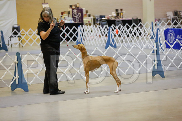 _JN_9062-AmarilloSept2014-HR3