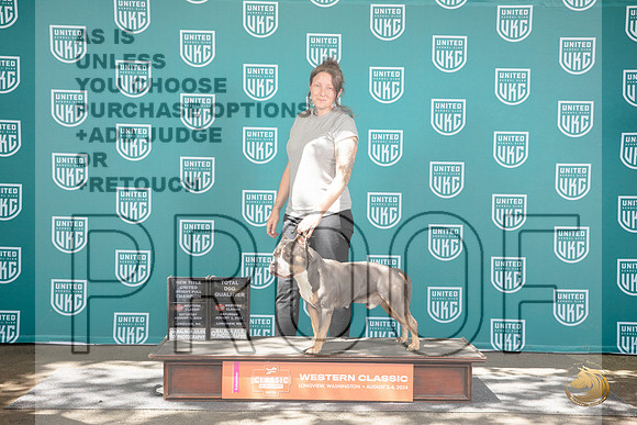 American Bully #322 TD GCH Judge Allann Krenek__JP_1916_Longview WA_2024_HR3
