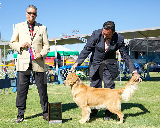 _CL_0372-AlamogordoOct2014-HR3