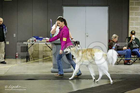 _RH_1435-BeltonJan2015IABCA-HR3
