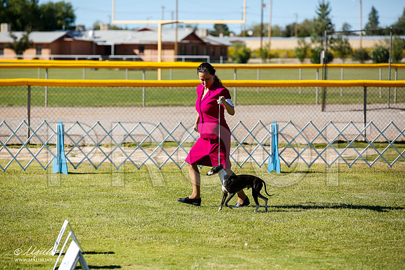 _JN_9528-AlamogordoOct2014-HR3