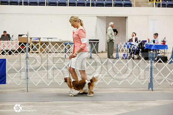 _CK_7932-AblnMay2014-web