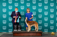 Silken Windhoud #29 Wed RABINSpVet Judge Stanley Matsumoto