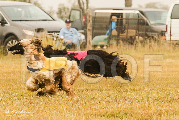 _MJ_3493-AfgBeltonOct2014-HR3