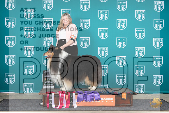 Rough Collie #114__JP_6604_BatesvilleMS_2024_HR3