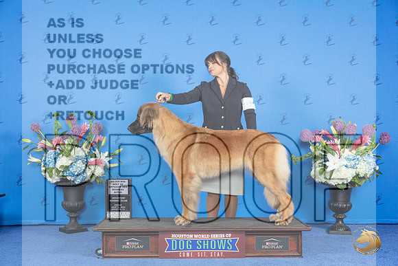 Leonberger #6 #8 FRI WB BOS M Judge Douglas Johnson__JP_8733_Houston_2024_HR3