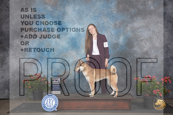 Shikoku #5 Sat BIOpenShow Judge Elizabeth ‘Beth’ Sweigart__JP_5273_San Antonio_2024_HR3