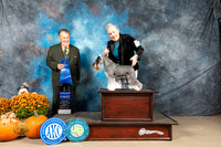 Miniature Schnauzer #5 Sun G1 Judge Del Richards