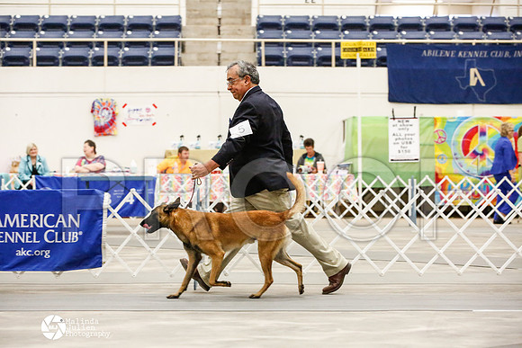 _JJ_8941-AblnMay2014-web