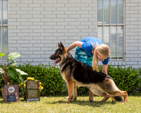 #239 Fri 2nd Jr Dog Maturty Frank & Kris Rasano Agent Elizabeth Stiefferman