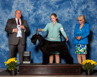 Giant Schnauzers #8 Fri SB Reed Chris Holly Maryann Bisceglia Mike Reese Agent Alfonso Escobedo Judge Mr Douglas R Holloway