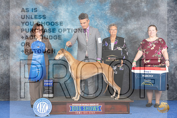 Greyhound #6 WED G1 Judge Barbara Scherer__JP_7204_Houston_2024_HR3