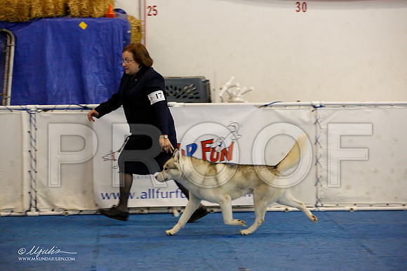 _M3_9769-AddisonHuskyMar2015-HR3